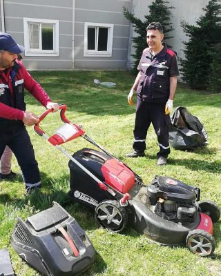 Periyodik Bahçe Bakım & İzmir Peyzaj Bahçıvan - Bermuda Çim