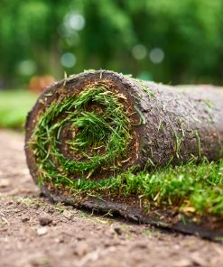 Bermuda ara EKİM Hazır Rulo Çim