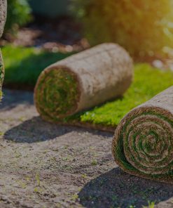 Bermuda Hazır Rulo Çim