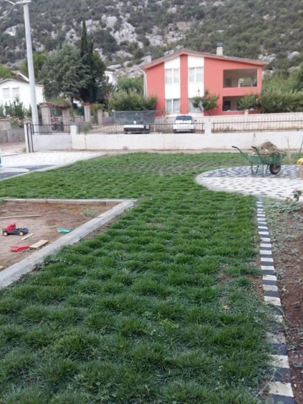Aliağa Hazır Rulo Çim Peyzaj - Bermuda Çim