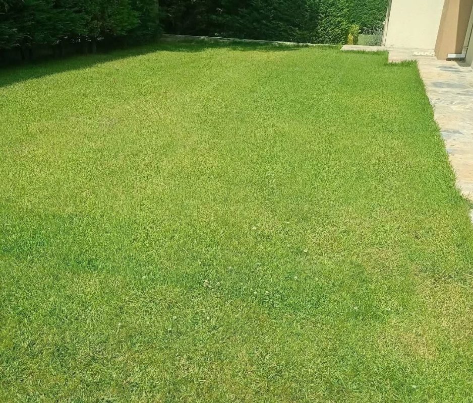 Aliağa Hazır Rulo Çim Peyzaj - Bermuda Çim